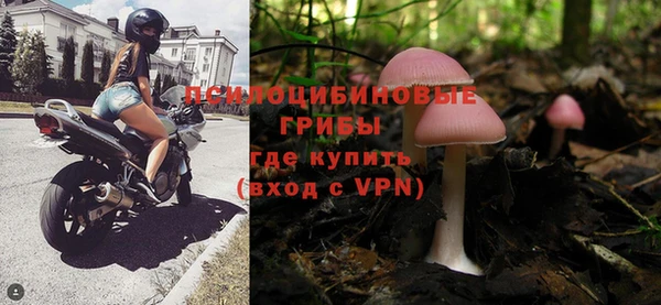 стаф Абдулино