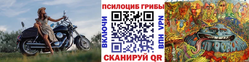 продажа наркотиков  Уварово  Псилоцибиновые грибы Magic Shrooms 